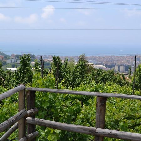 ساليرنو B&B Green Valley المظهر الخارجي الصورة