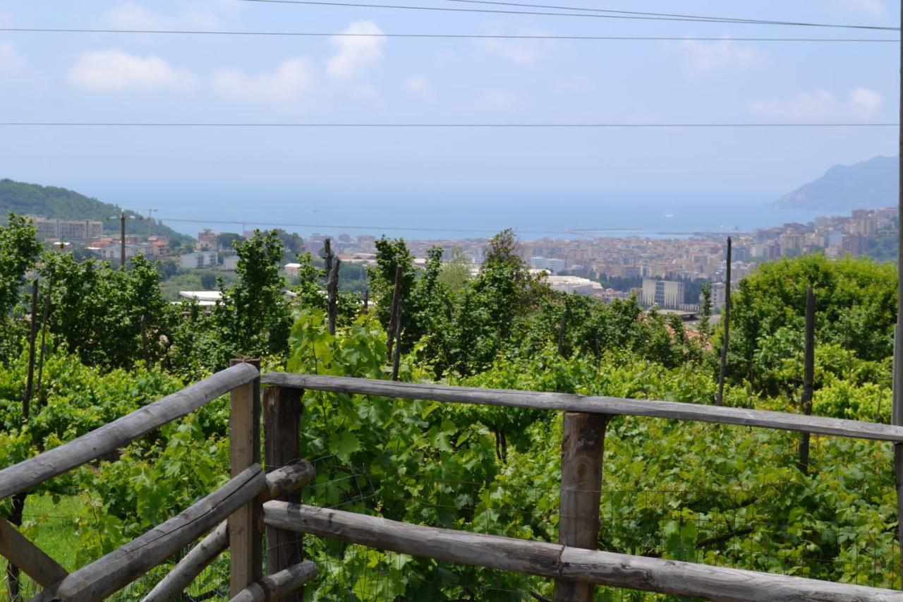 ساليرنو B&B Green Valley المظهر الخارجي الصورة